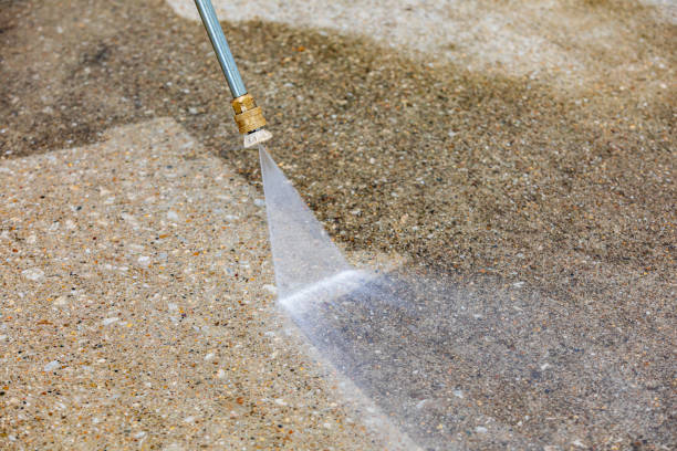 Best Driveway Pressure Washing  in Prospect Rk, PA